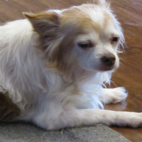 Meet your Posher, Petrina - Picture 2 of 6